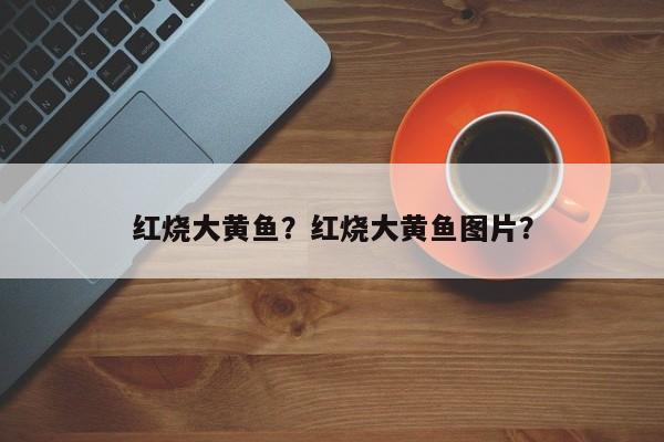 红烧大黄鱼？红烧大黄鱼图片？