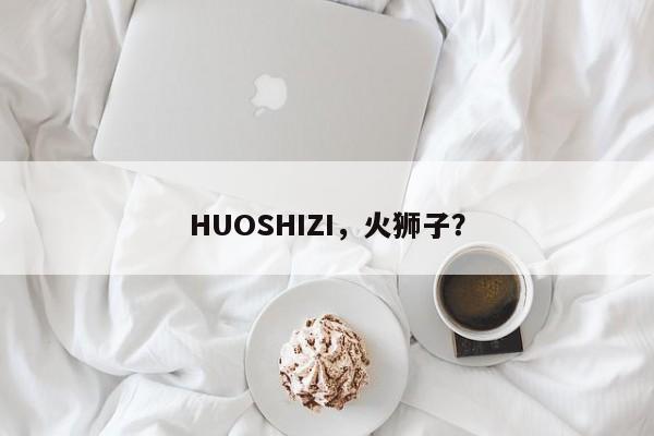 HUOSHIZI，火狮子？