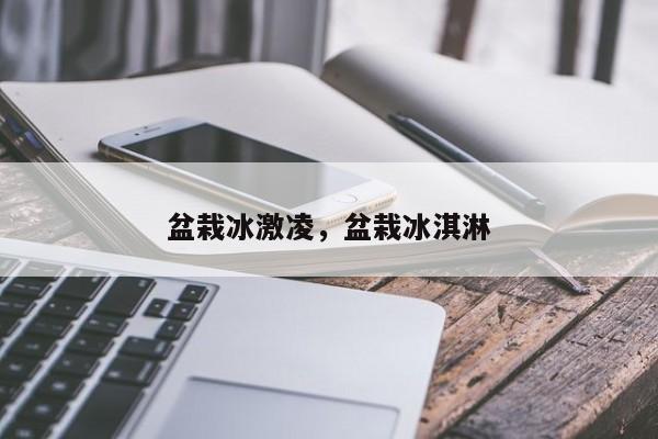 盆栽冰激凌，盆栽冰淇淋