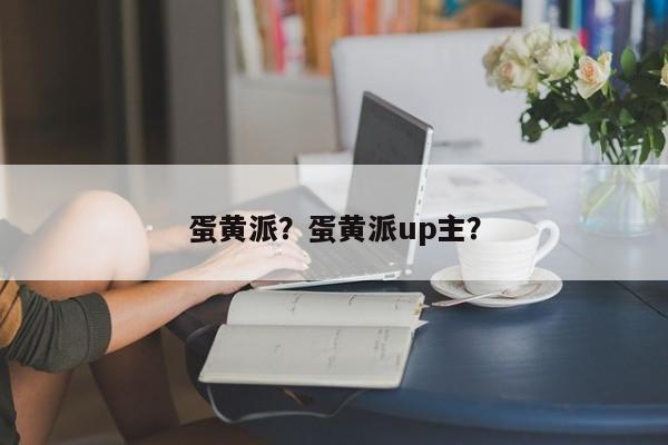 蛋黄派？蛋黄派up主？