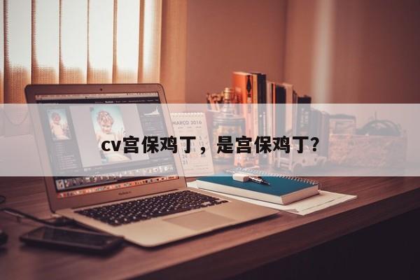 cv宫保鸡丁，是宫保鸡丁？