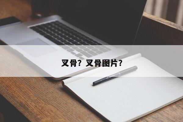 叉骨？叉骨图片？